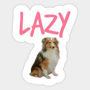 LAZY / The Border collie Sticker